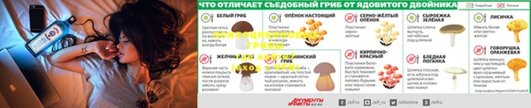 скорость mdpv Богданович