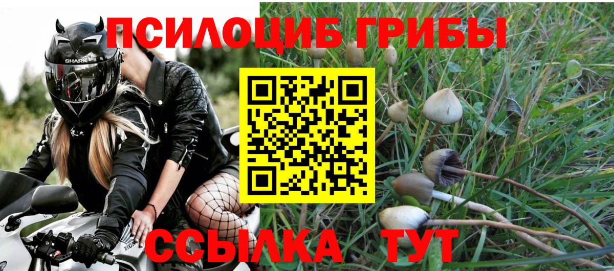 Зима  Псилоцибиновые грибы MAGIC MUSHROOMS  где можно купить наркотик  Вход с VPN 