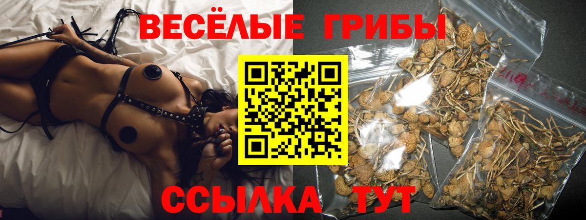 Галлюциногенные грибы мухоморы Зима