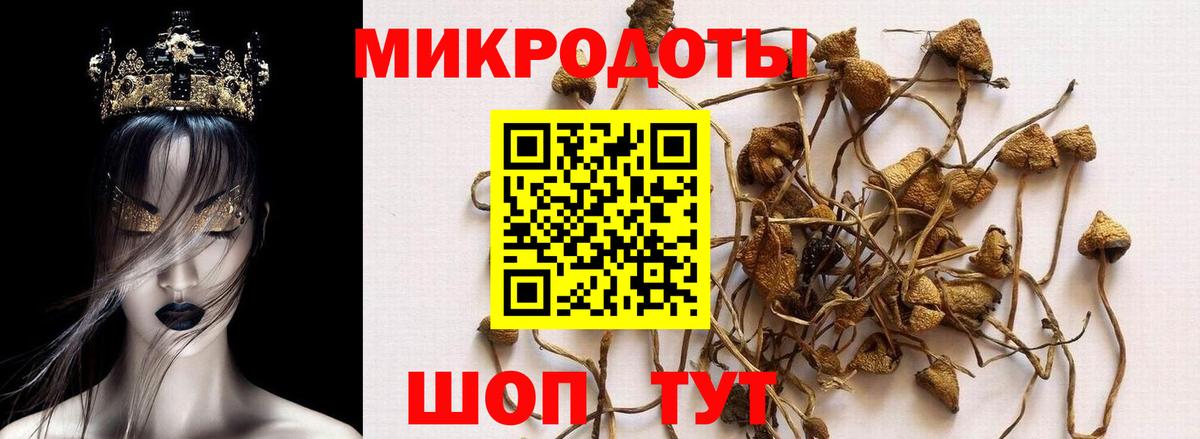 МАРИХУАНА  МДМА  Альфа ПВП  Кодеин  НБОМе  Гарик  ЛЁД  Вход с VPN  Меф  Зима  Каннабис  Кокаин  Меф 